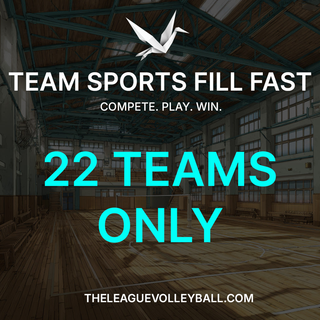 REC CO-ED VOLLEYBALL LEAGUE (Markham)