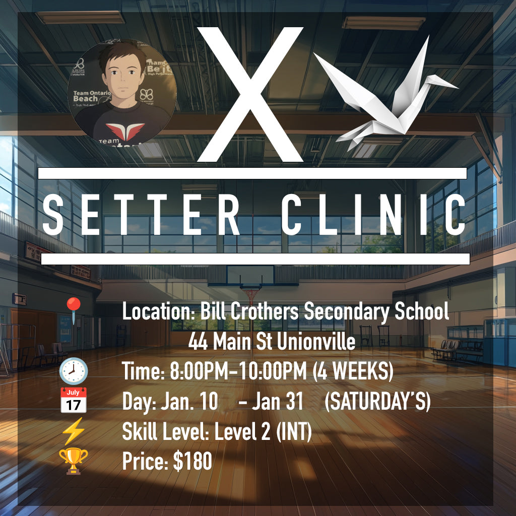 Setter Training - Level 2