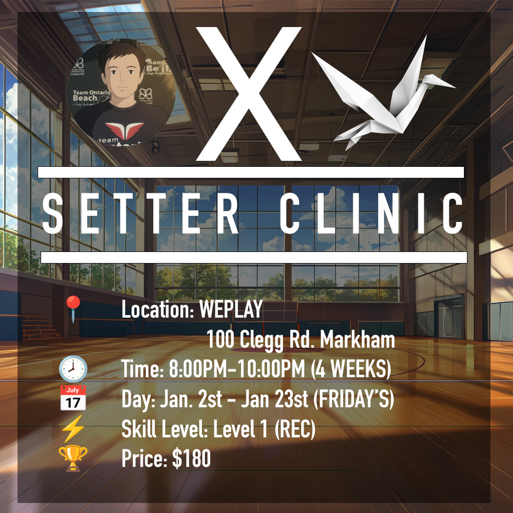 Setter Clinic - Level 1