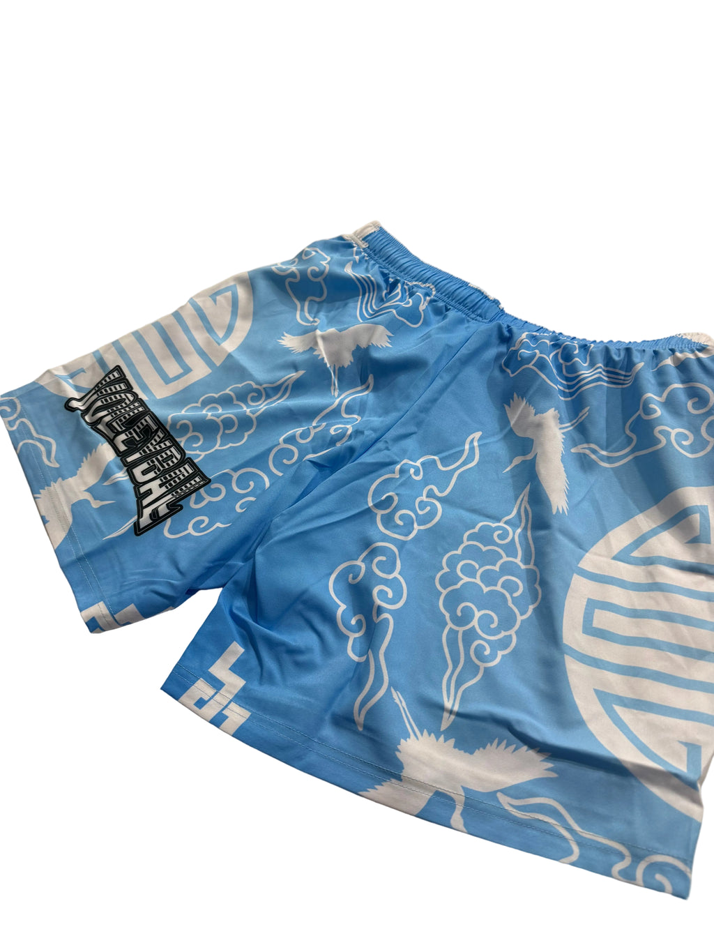 THE LEAGUE VOLLEYBALL SHORTS V7 (BLUE SKY)