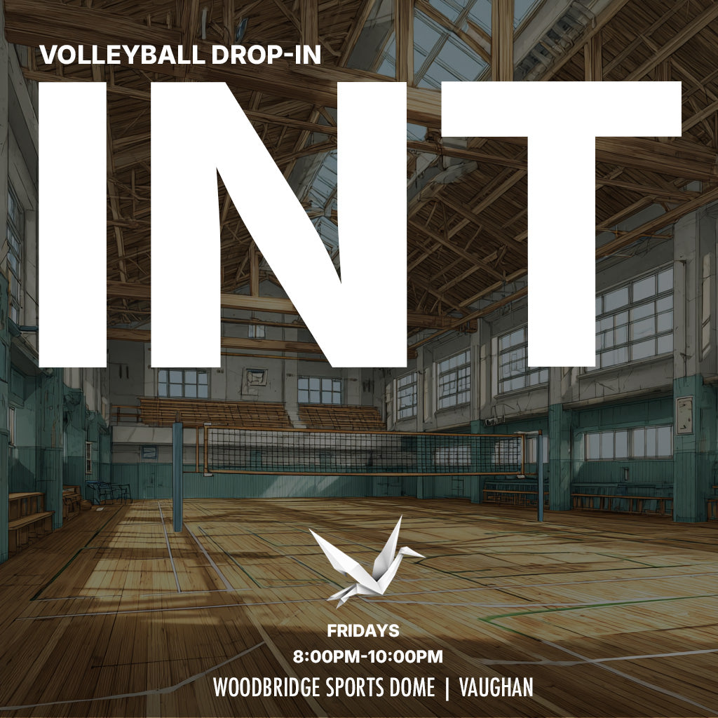 Friday Vaughan Intermediate Volleyball Drop-In | 8:00–10:00 PM