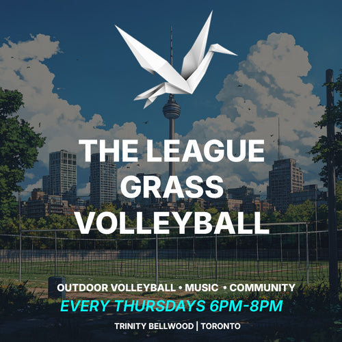 COMMUNITY GRASS VOLLEYBALL