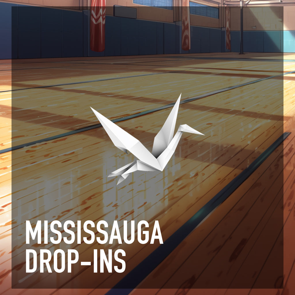 Mississauga Drop Ins