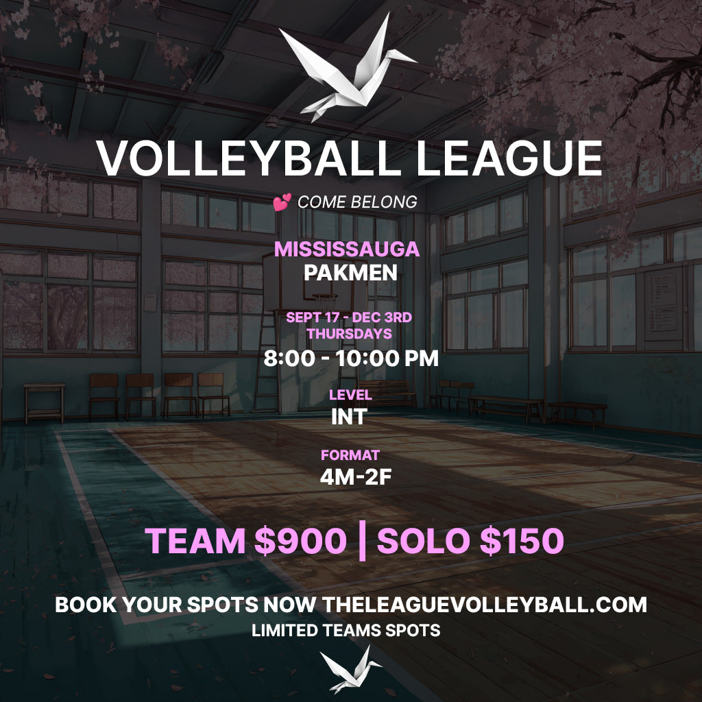 Mississauga Rec Co-Ed Volleyball League — Fall 2026