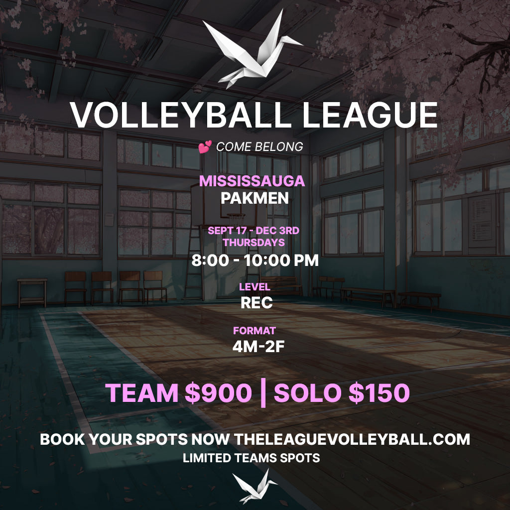Mississauga Rec Co-Ed Volleyball League — Fall 2026