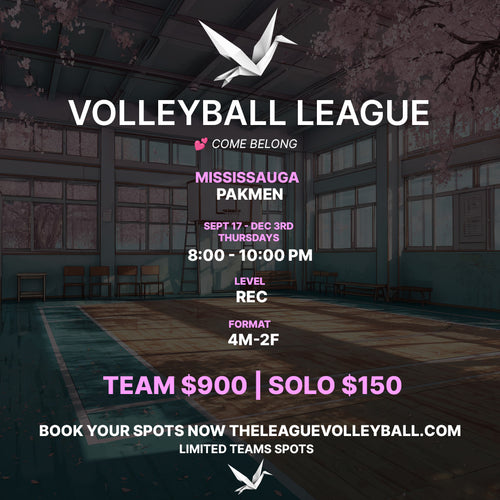 Mississauga Rec Co-Ed Volleyball League — Fall 2026