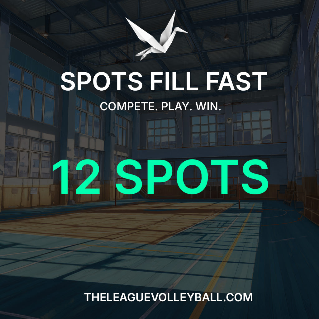 Setter Clinic  (Level 1) (July)