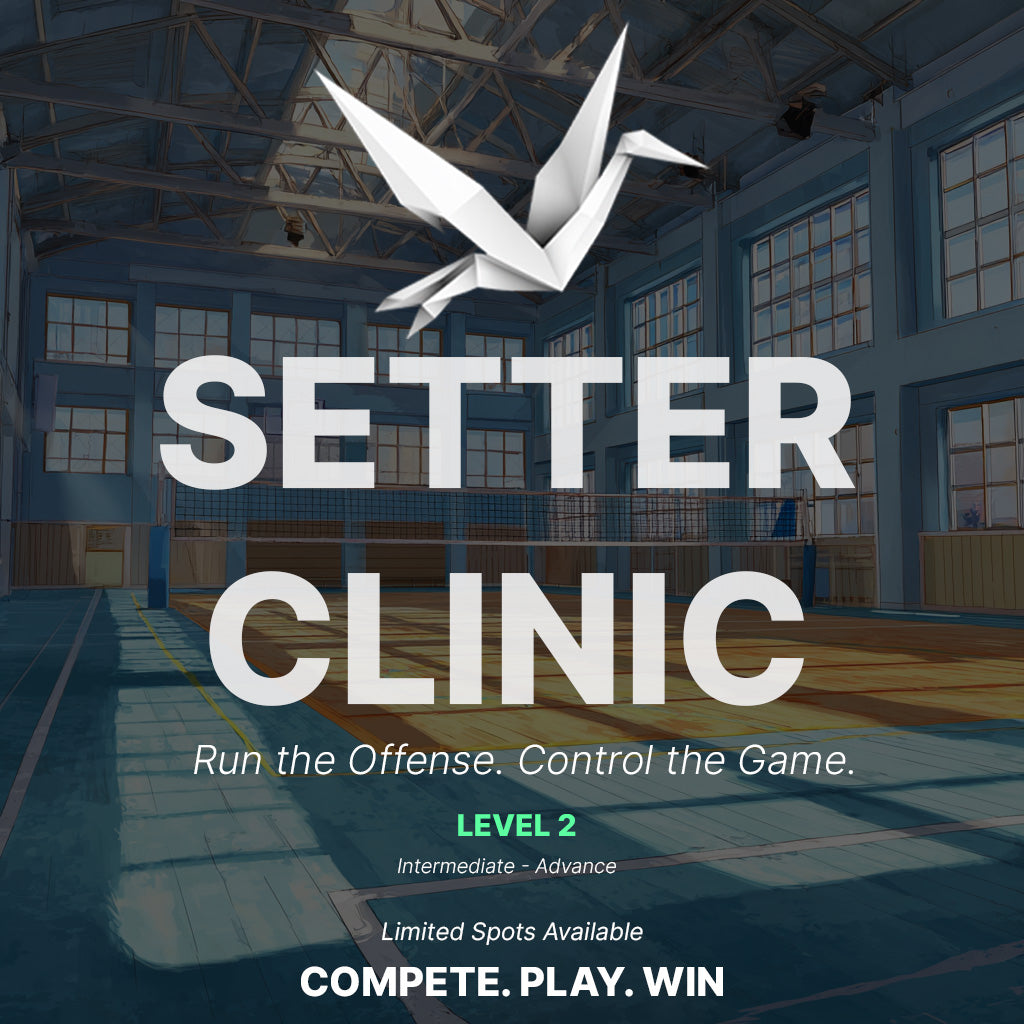Setter Clinic (July) (Level 2) (July)