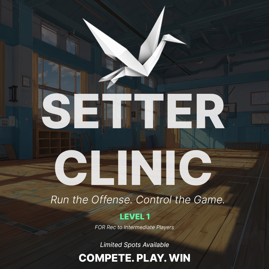 Setter Clinic  (Level 1) (July)