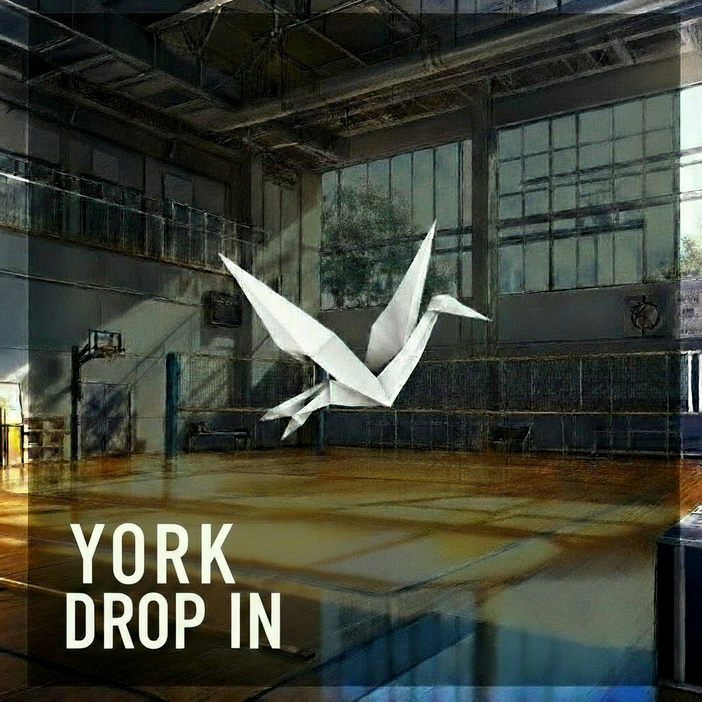 York Region Drop In