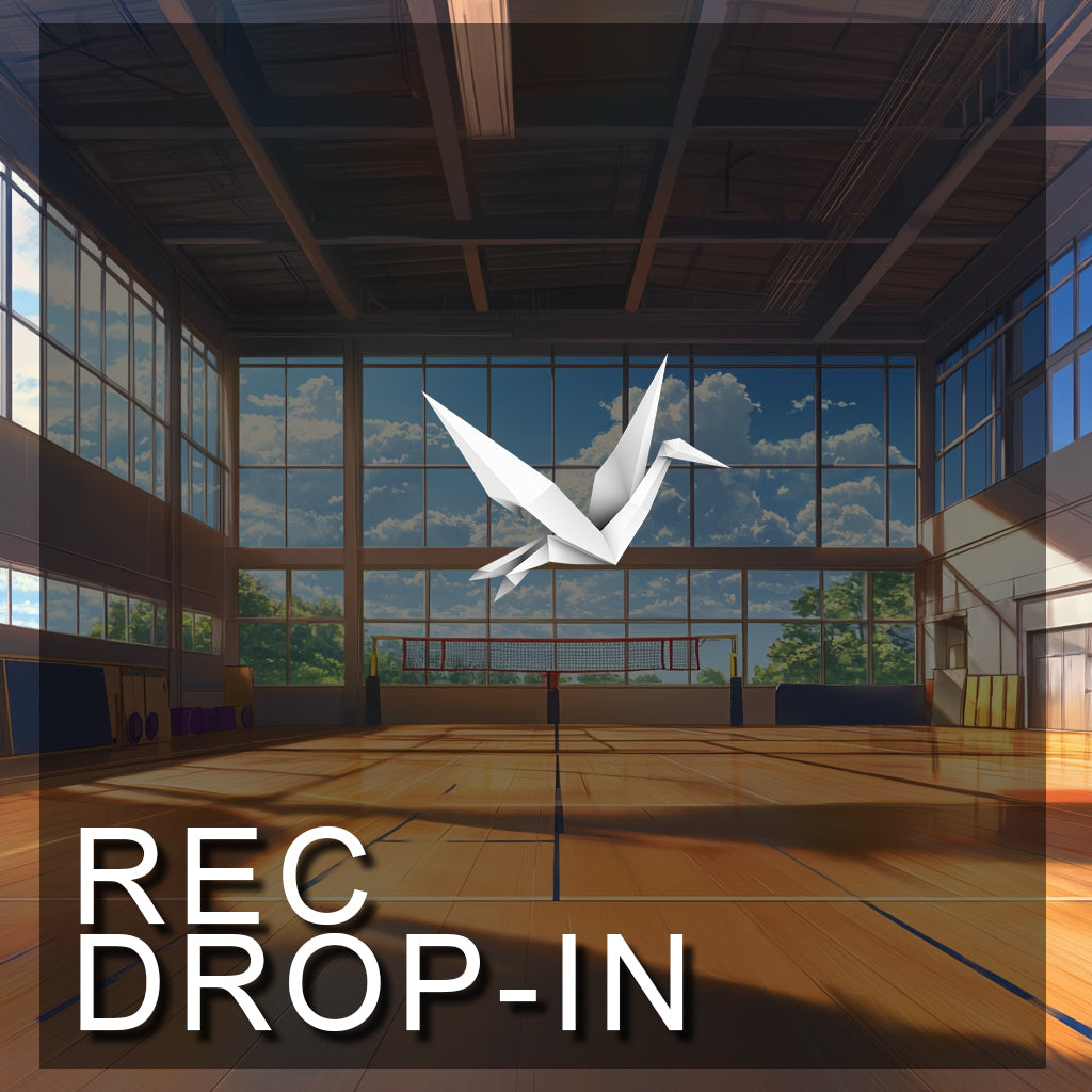 Rec Drop Ins